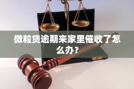 抚顺专业讨债公司有哪些核心服务？